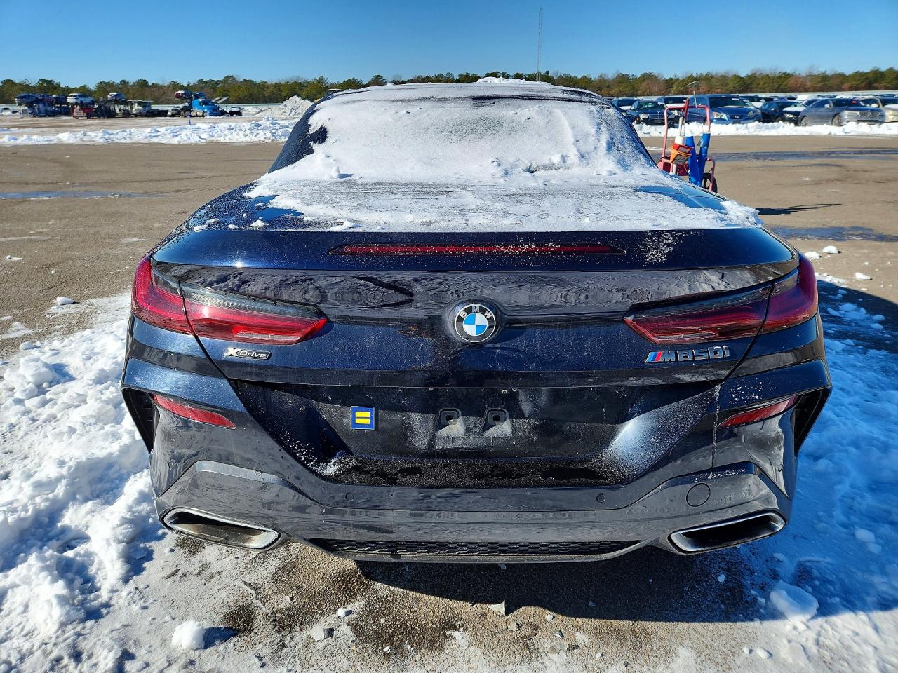 VIN WBAFY4C51KBJ99064 2019 BMW MOTORRAD M850XI