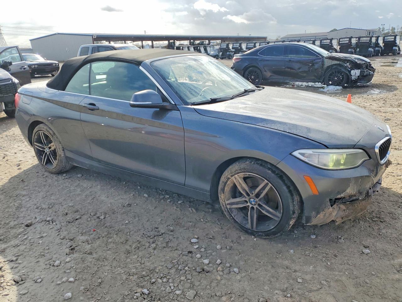 VIN WBA2K9C33HV950443 2017 BMW MOTORRAD 230I