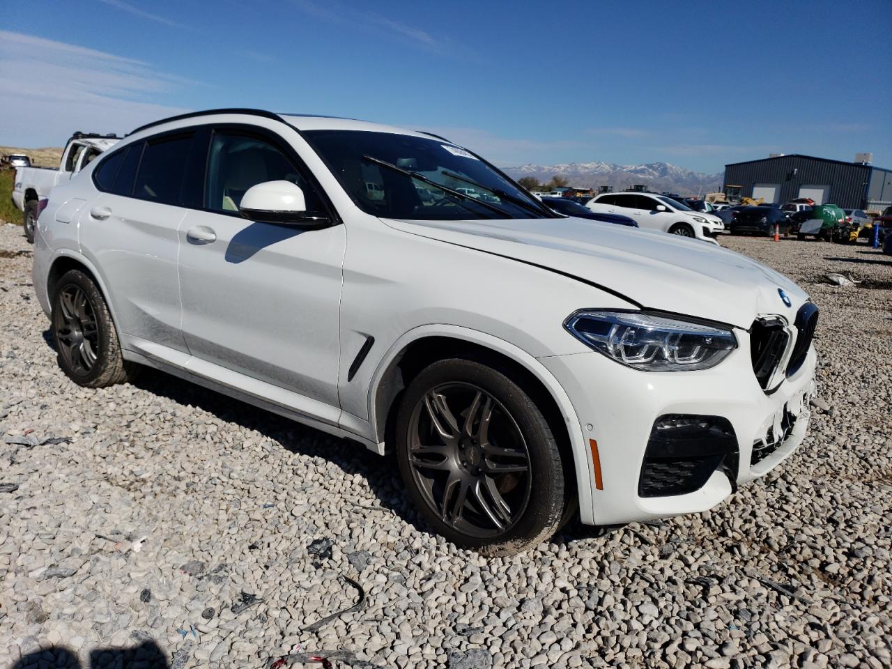 VIN 5UX2V1C01M9F91616 2021 BMW X4